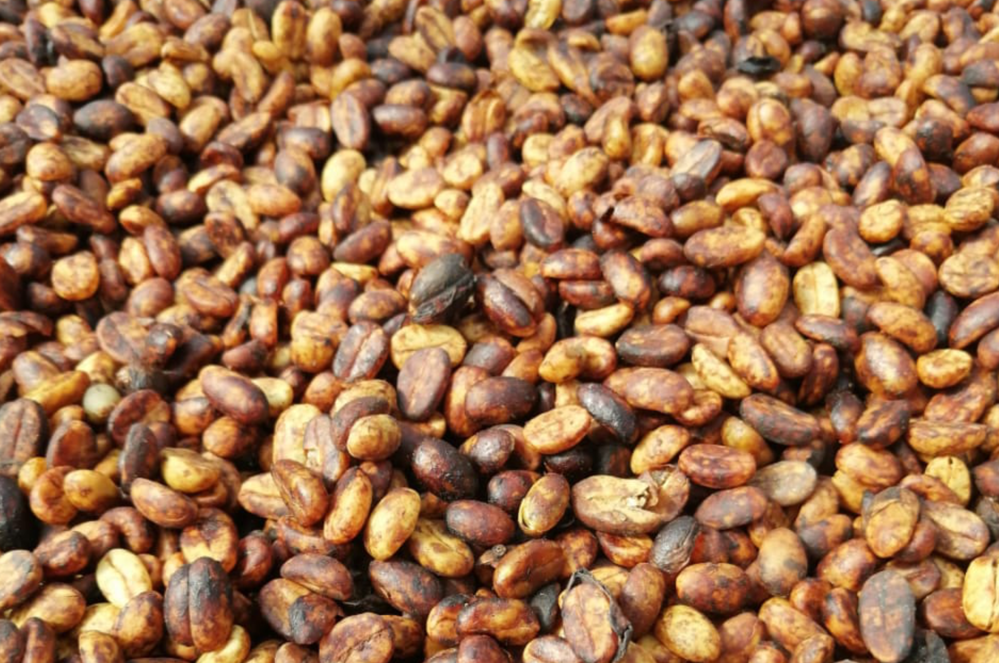 Collection of Finca La Balastrera in a gallery layout